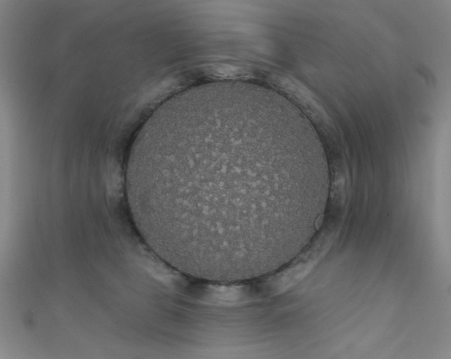 X0000111420469200907131206