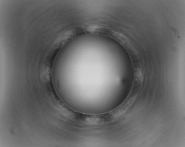 X0000111420470200907131206