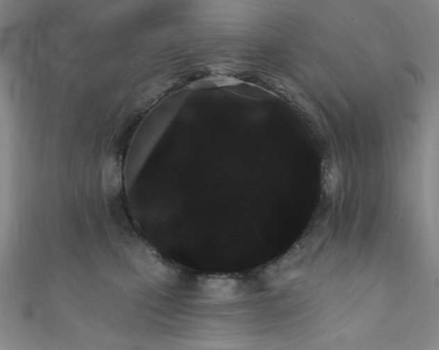 X0000111420471200907131206