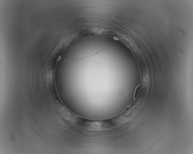 X0000111420473200907131206