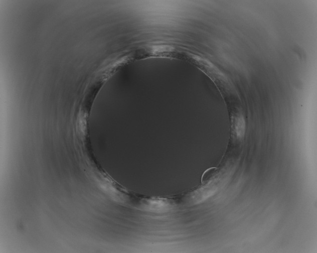 X0000111420475200907131206