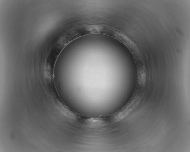 X0000111420477200907131206