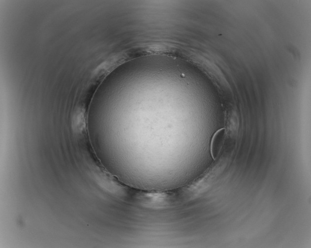 X0000111420478200907131206