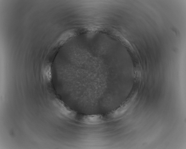 X0000111420479200907131206