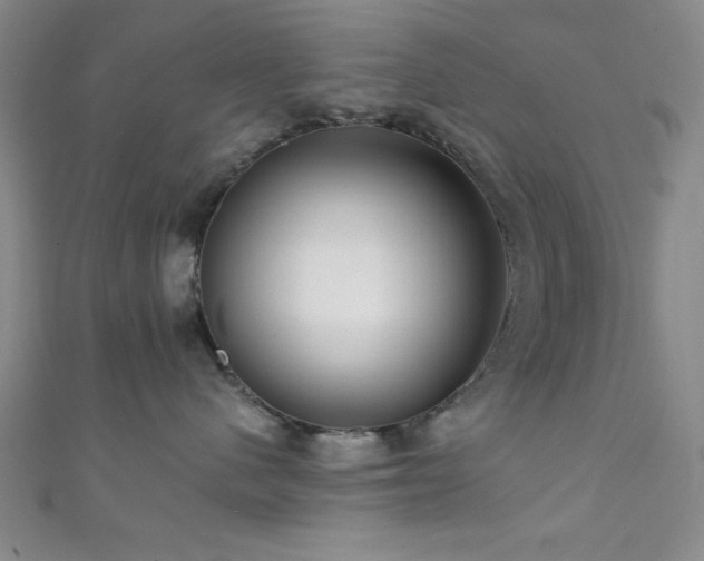 X0000111420480200907131206