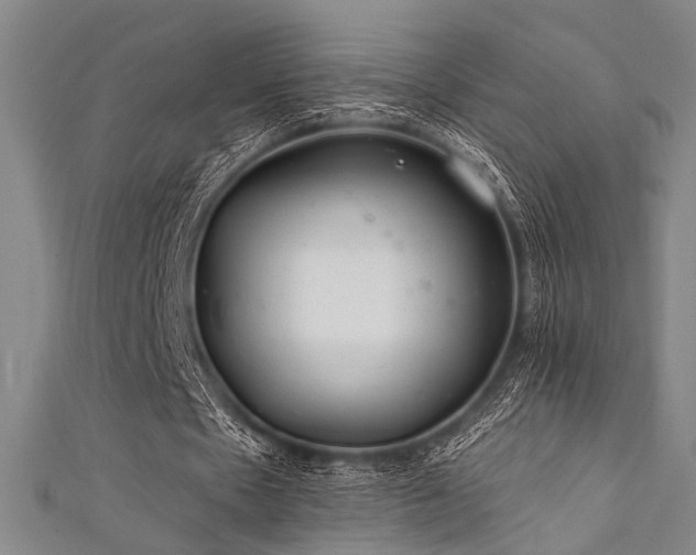 X0000111420481200907131205