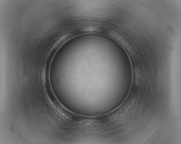 X0000111420482200907131205