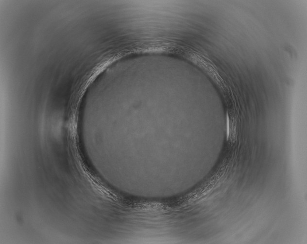 X0000111420483200907131205