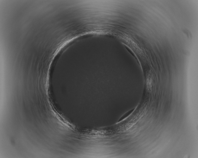 X0000111420484200907131205