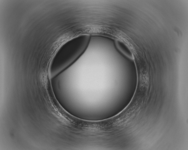 X0000111420485200907131205