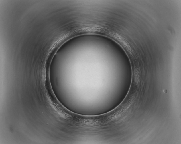 X0000111420486200907131205