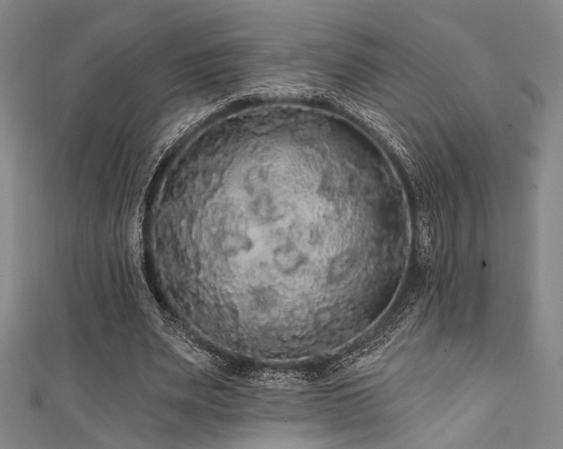 X0000111420487200907131205