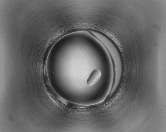 X0000111420489200907131205