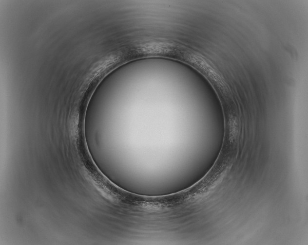 X0000111420490200907131205