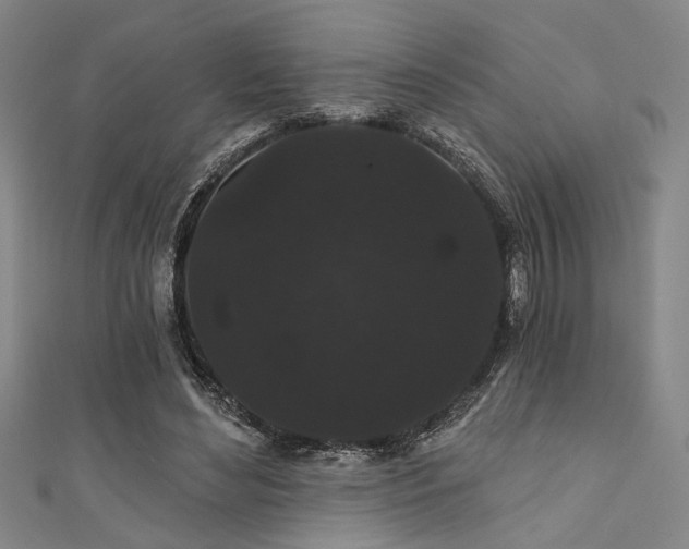 X0000111420492200907131205