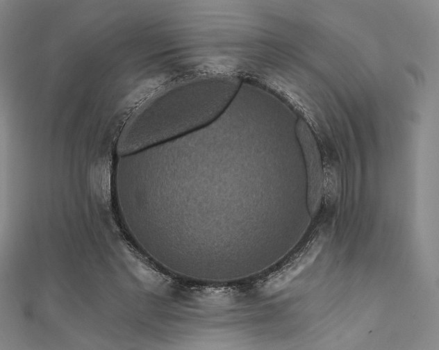 X0000111420493200907131205