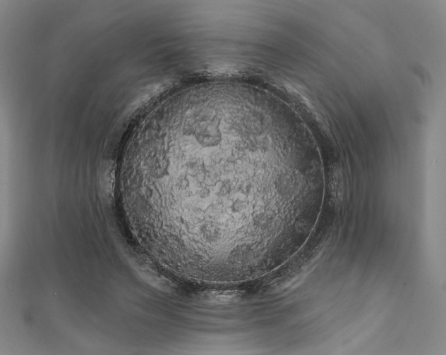 X0000111420495200907131205