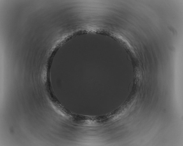 X0000111420496200907131205