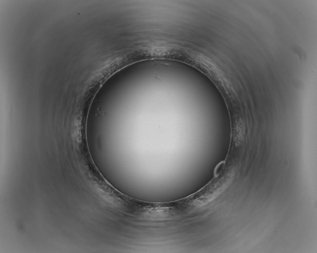 X0000111420497200907131205