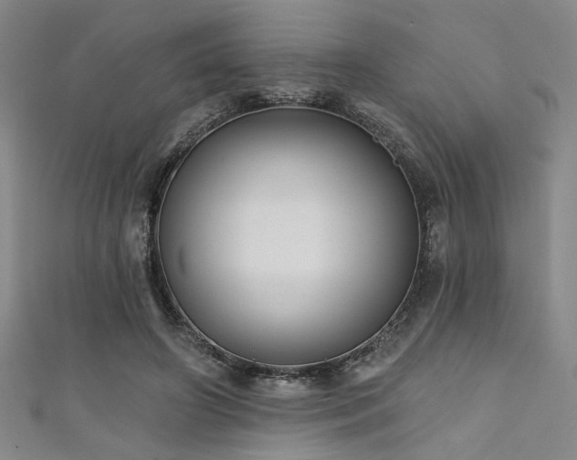 X0000111420498200907131205