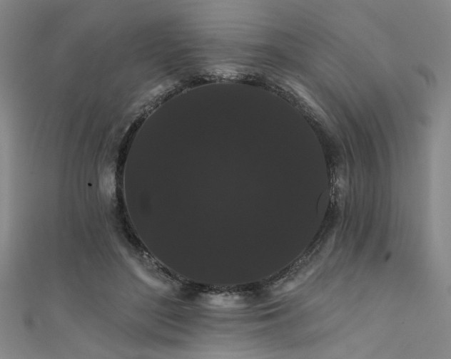 X0000111420500200907131205