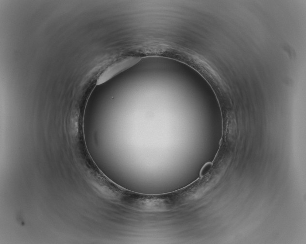 X0000111420501200907131205