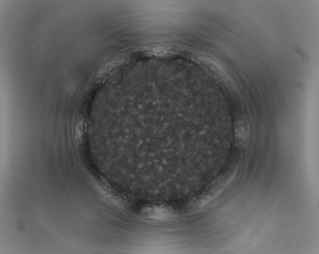 X0000111420503200907131205