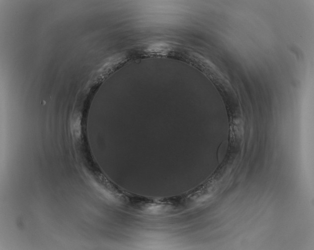 X0000111420504200907131205