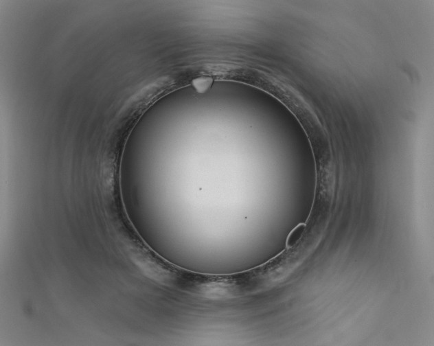 X0000111420505200907131205