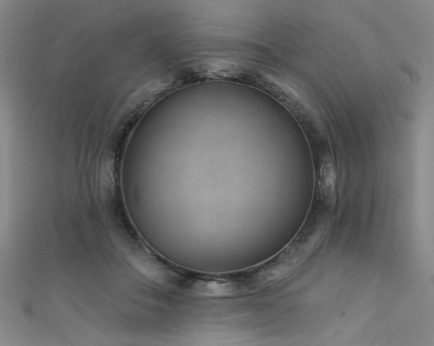 X0000111420506200907131205