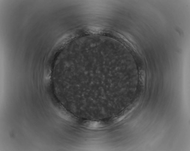 X0000111420507200907131205