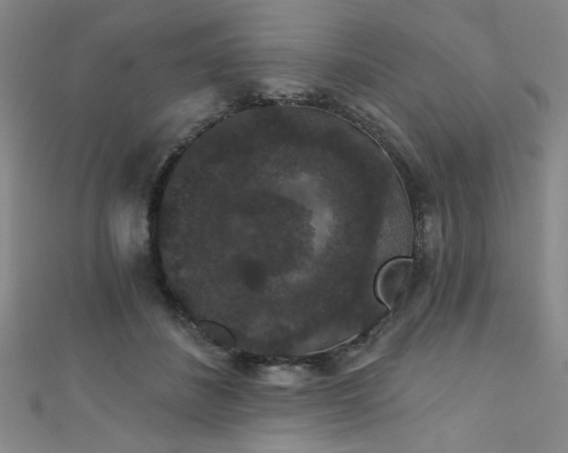 X0000111420508200907131205