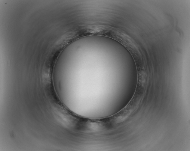 X0000111420510200907131205