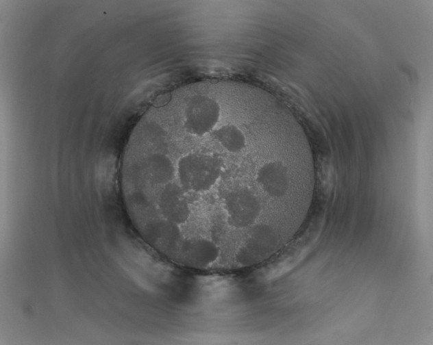 X0000111420511200907131205