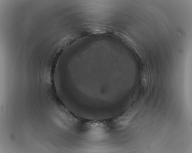 X0000111420512200907131205