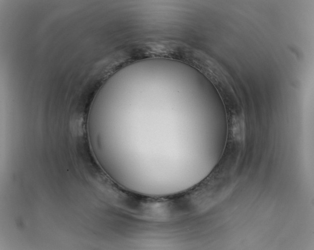 X0000111420514200907131205