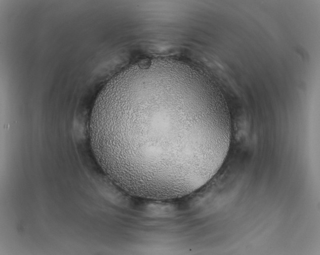 X0000111420515200907131205