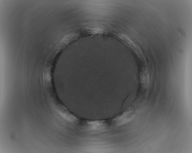 X0000111420516200907131205