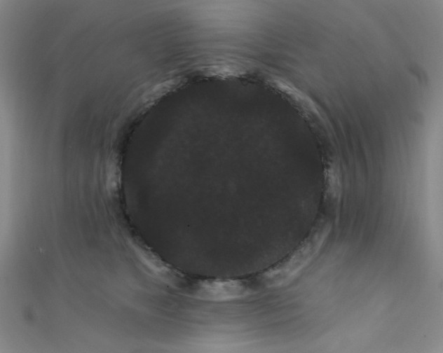 X0000111420517200907131205