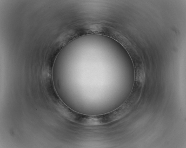 X0000111420518200907131205