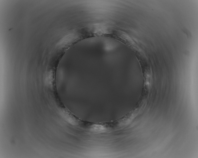 X0000111420519200907131205