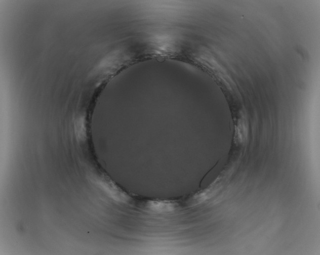 X0000111420520200907131204