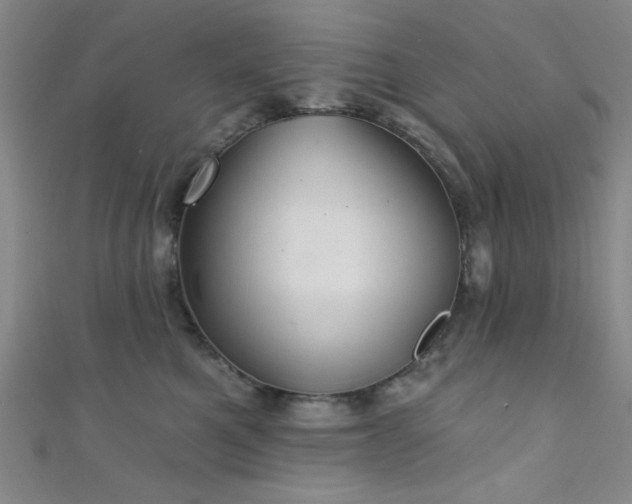 X0000111420521200907131204