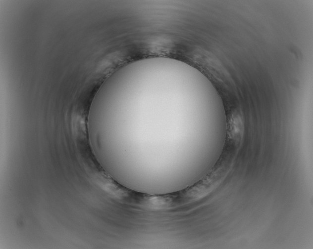 X0000111420522200907131204