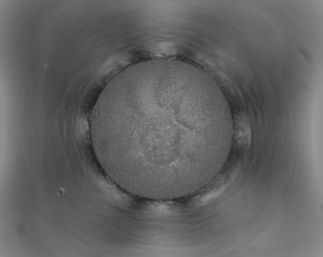 X0000111420523200907131204