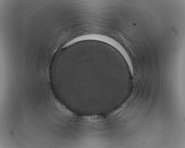 X0000111420524200907131204