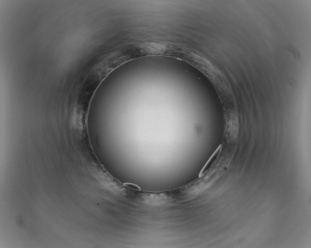 X0000111420525200907131204