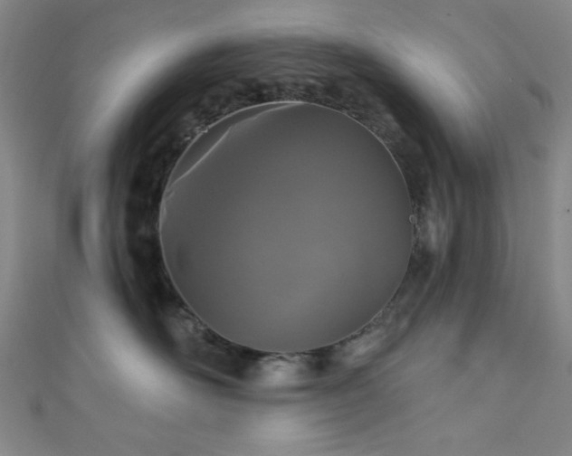 X0000111420526200907131204