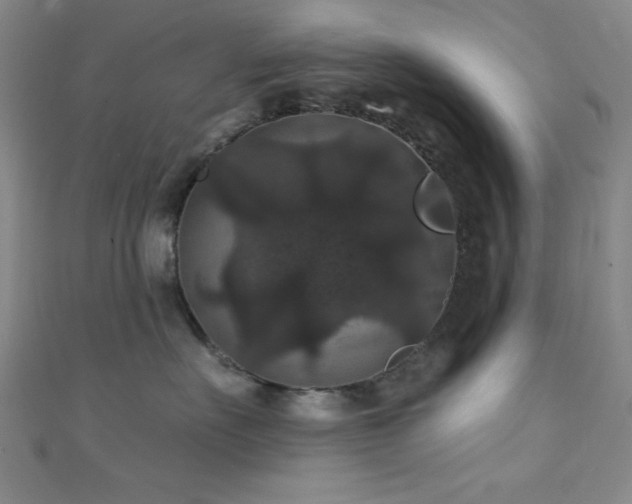 X0000111420527200907131204