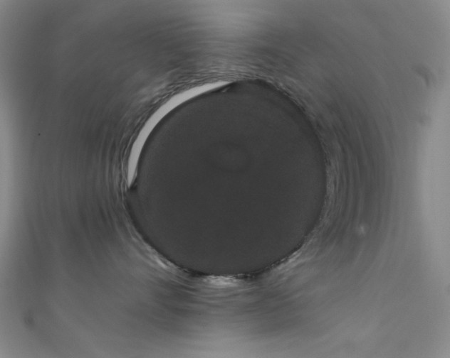 X0000111420528200907131204